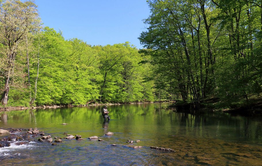 Poe Paddy State Park, Pennsylvania, USA